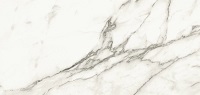 Marvel Statuario Supremo 40x80 Shiny